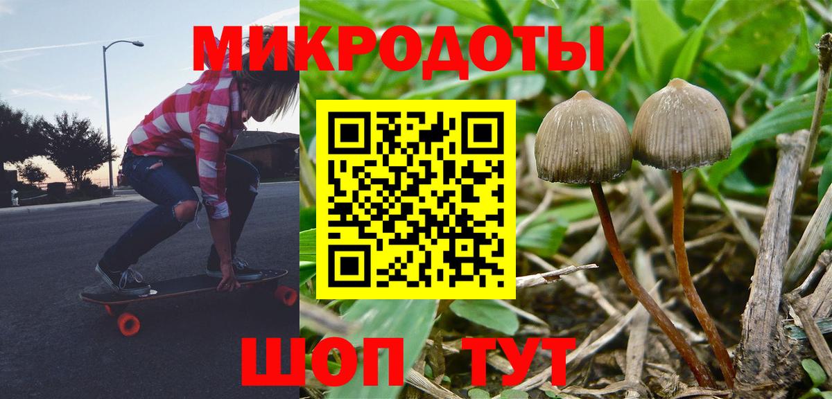 Псилоцибиновые грибы GOLDEN TEACHER  Галлюциногенные грибы прущие грибы  Чернушка  Вход с VPN 